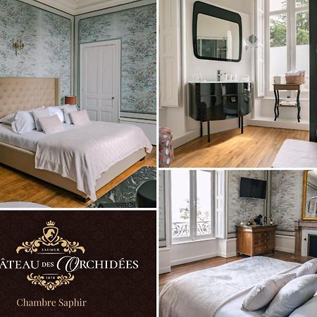 Chambres d'hôtes Château Les Orchidées SAUMUR Extérieur photo