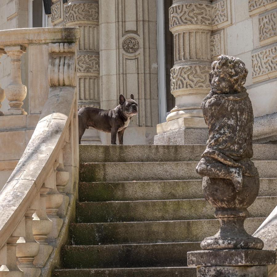 Chambres d'hôtes Château Les Orchidées SAUMUR Extérieur photo