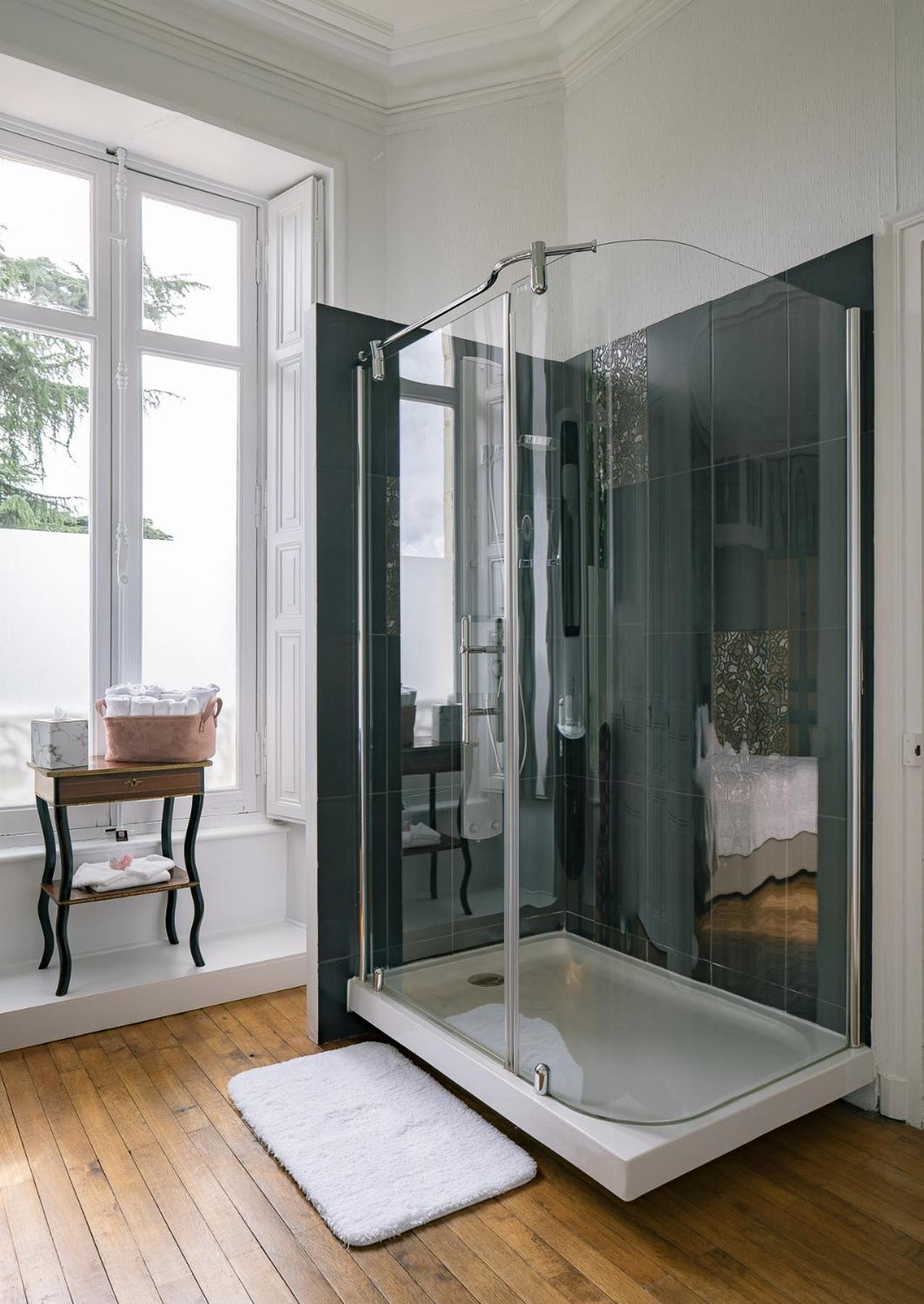 Chambres d'hôtes Château Les Orchidées SAUMUR Extérieur photo