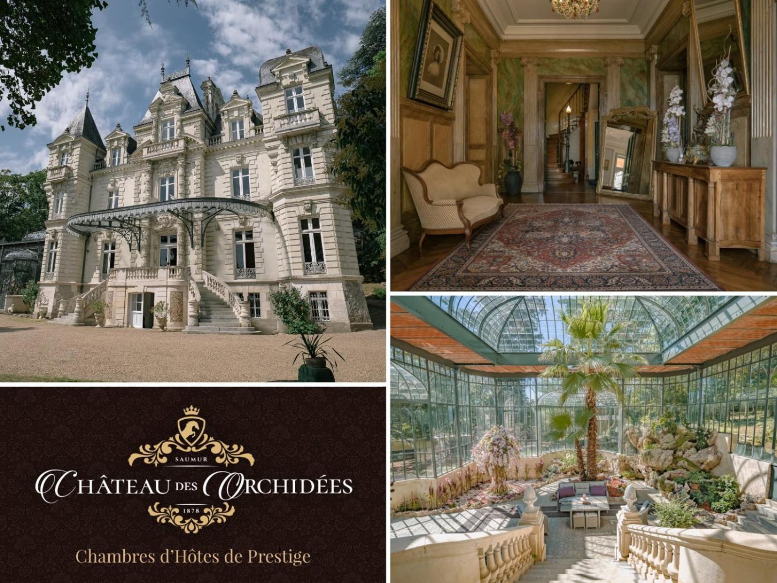 Chambres d'hôtes Château Les Orchidées SAUMUR Extérieur photo