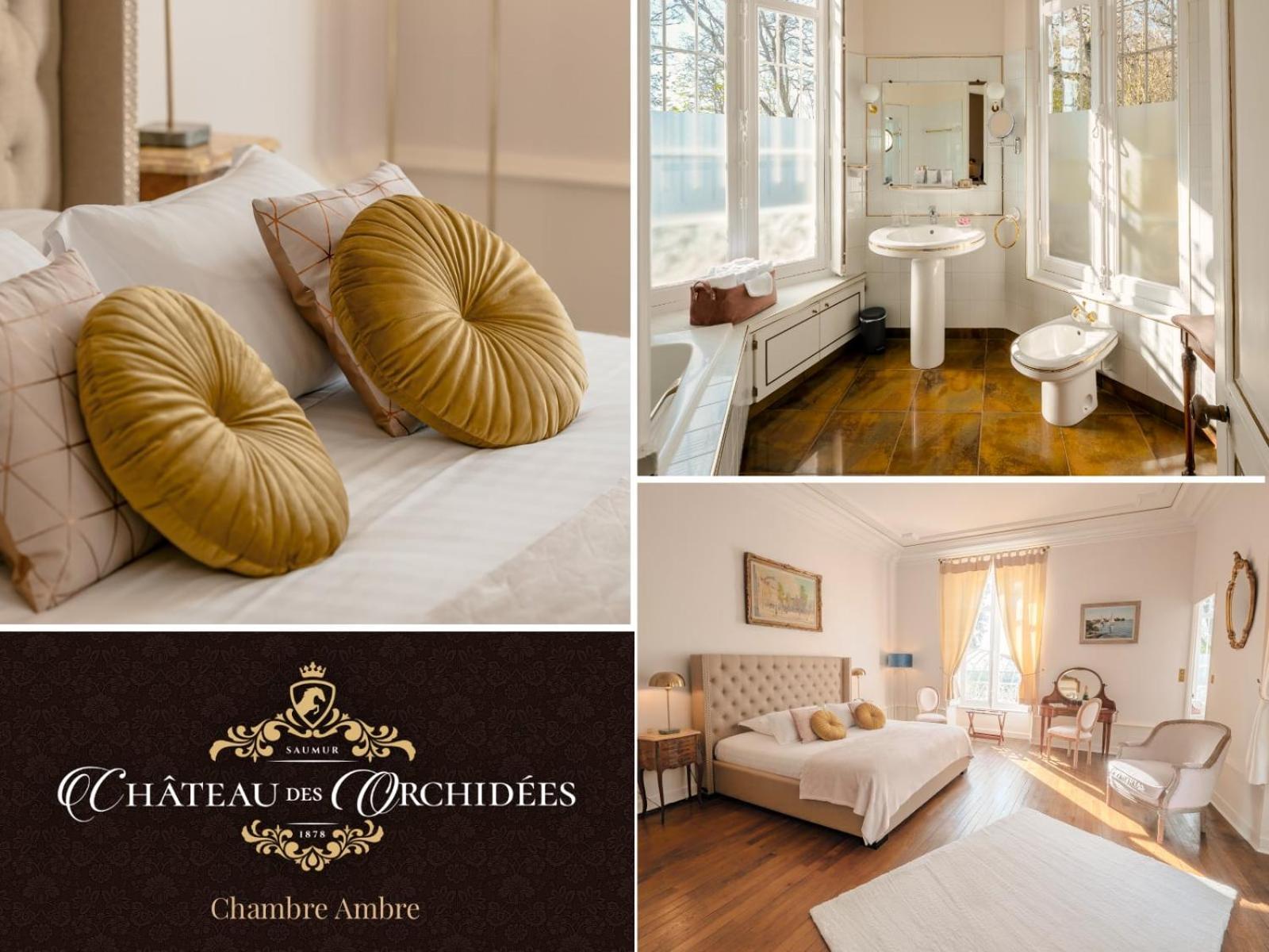 Chambres d'hôtes Château Les Orchidées SAUMUR Extérieur photo